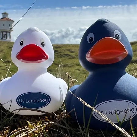 Apartmán Sprotte Langeoog